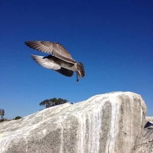 Meet your Posher, Ben